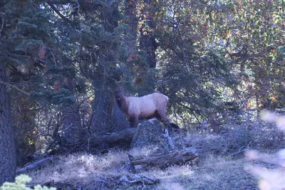 DSC_2260 (Large).JPG